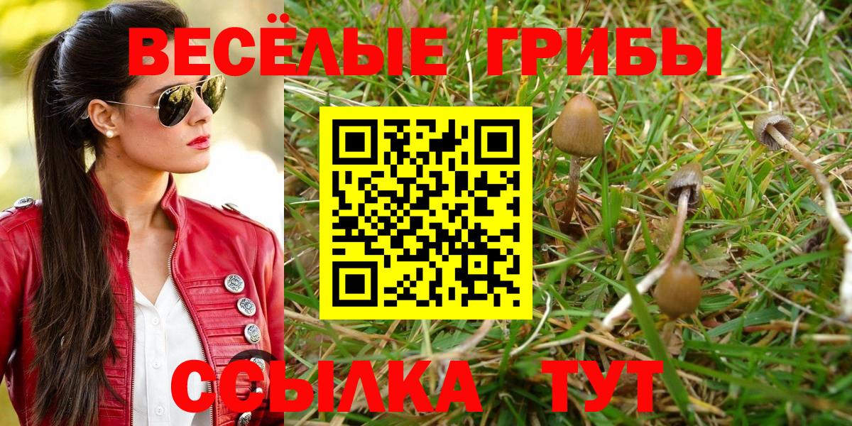 Галлюциногенные грибы Psilocybine cubensis  Вход с VPN  Псилоцибиновые грибы мухоморы  Барнаул 